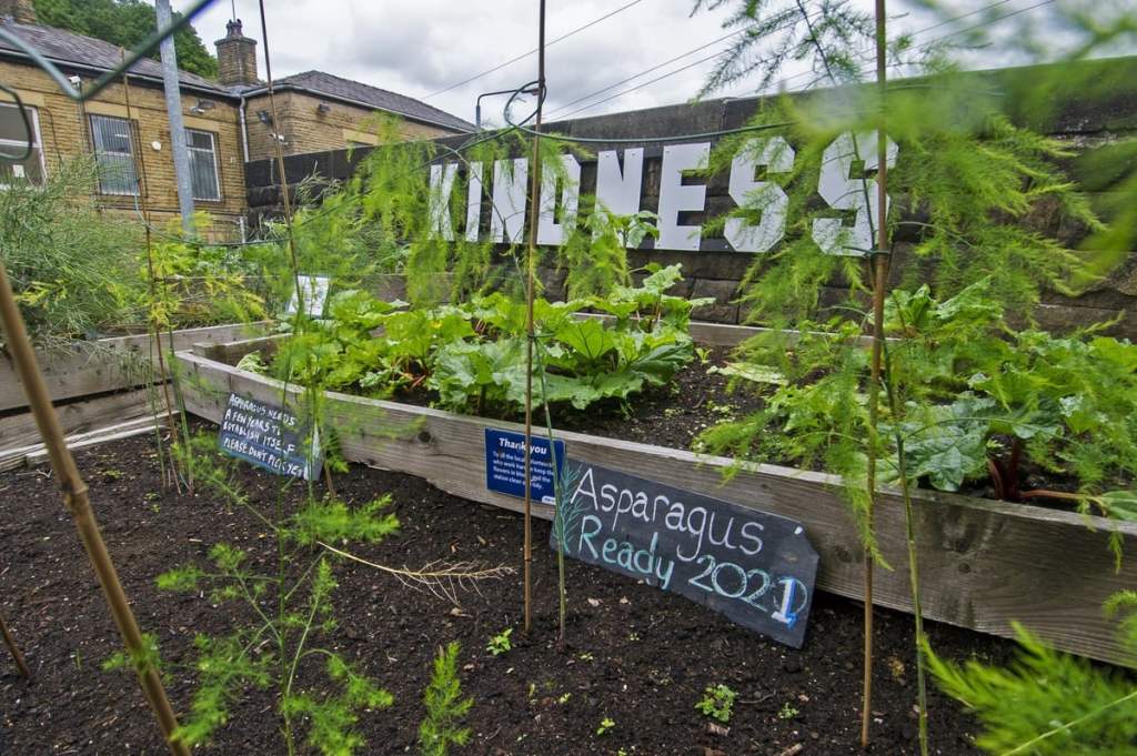 Picture Kindness from Incredible Edible Todmorden